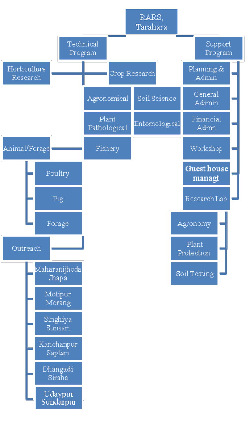  organisational structure